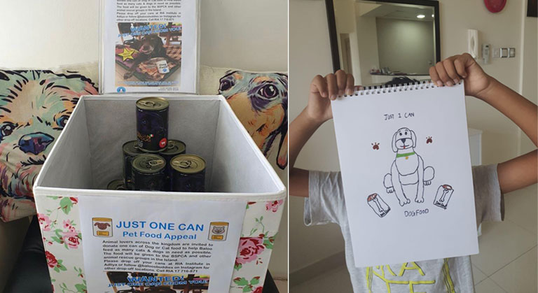 Pet Food for Bahrains Animal Rescue Groups