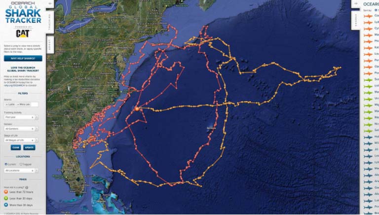www.ocearch.org