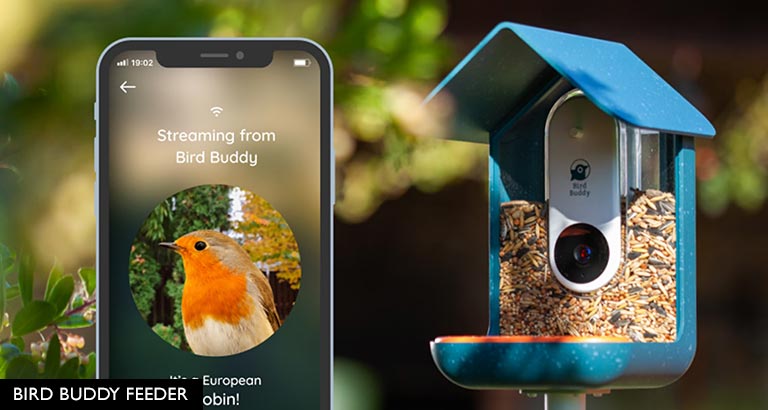 BIRD BUDDY FEEDER