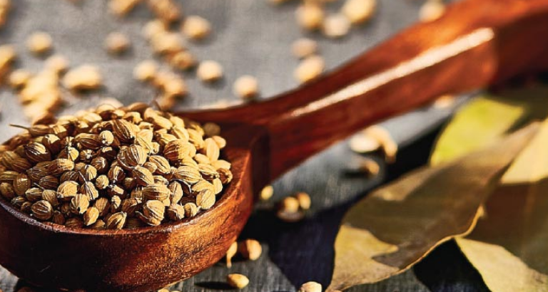 A New Gastronomic Gem