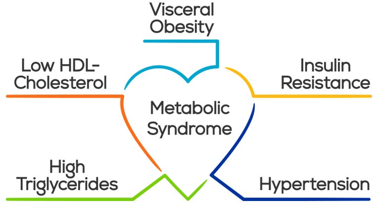 Avoiding Metabolic Syndrome