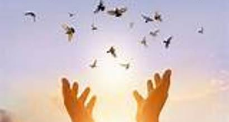 Miracles of Forgiveness