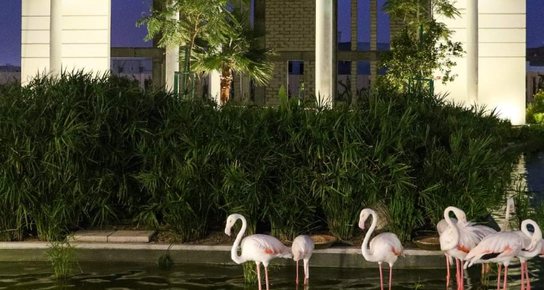 Autumn in Bahrain