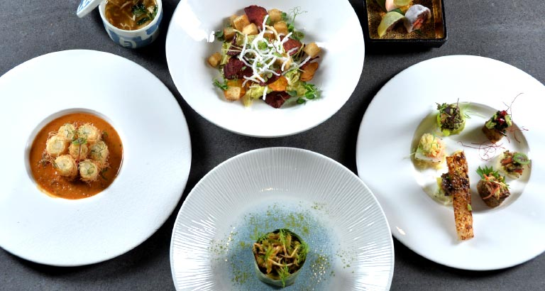 Plant-Based Perfecton