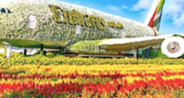 A New Public Park For Salman Town? 