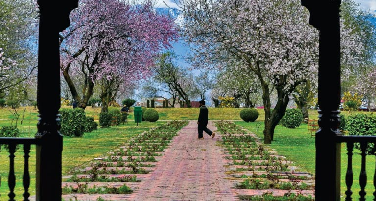 Author Mir Junaid has captured the changing dynamics of Jammu & Kashmir 