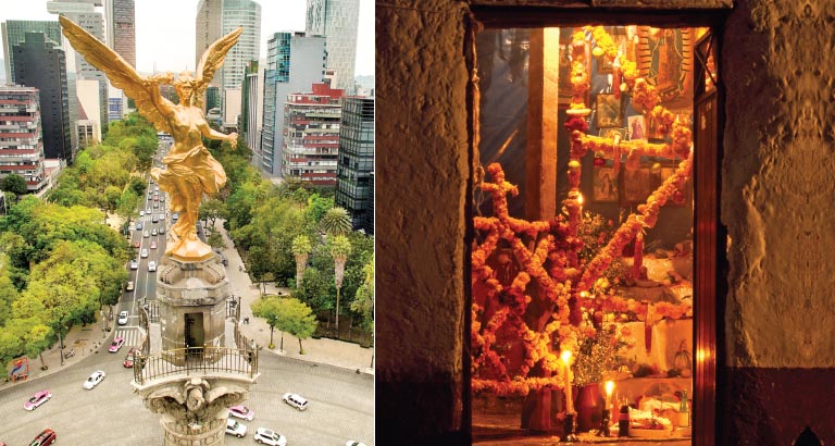 Mexico City Calling