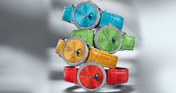 A Celebration of Colours