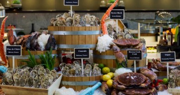 Splendid Shellfish