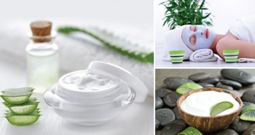 Say ‘Allo to Aloe!