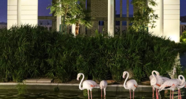 Autumn in Bahrain