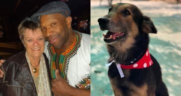 Music to the Rescue Aims to Raise Funds for Bahrain Animal Rescue Centre