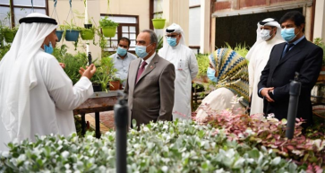 One Million Seedlings of Summer Flowers Produced in Works Ministry’s Nurseries