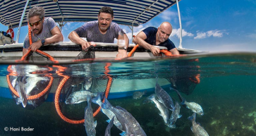 Bahrain Underwater Photographer Hani Bader