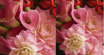 Four Seasons Hotel Bahrain Bay: Pink October Plans