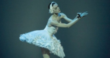 What You Need To Know About Swan Lake in Bahrain