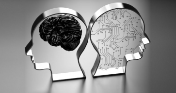 Robot-Proof Economy - The Creative Sides of Business