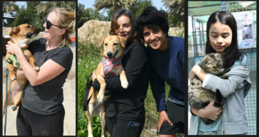 Bahrain Animal Rescue Centre (BARC)