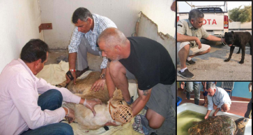 BSPCA Chairman