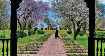 Author Mir Junaid has captured the changing dynamics of Jammu & Kashmir 