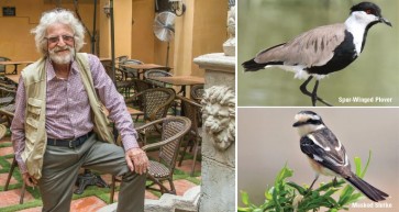 The Birdman - Howard King