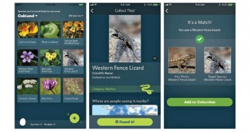 Apps Review - June 2018