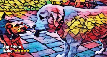 Apps Review August 2018